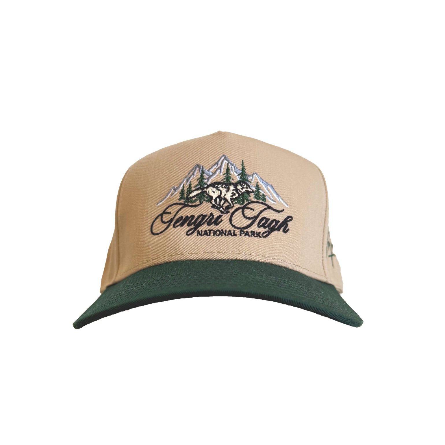 Tengri Tagh 5 Panel Snapback