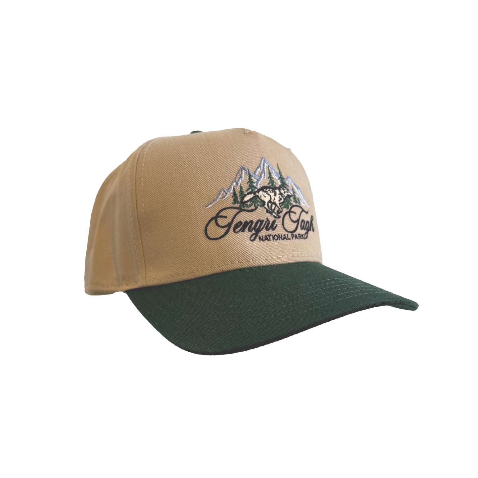 Tengri Tagh 5 Panel Snapback