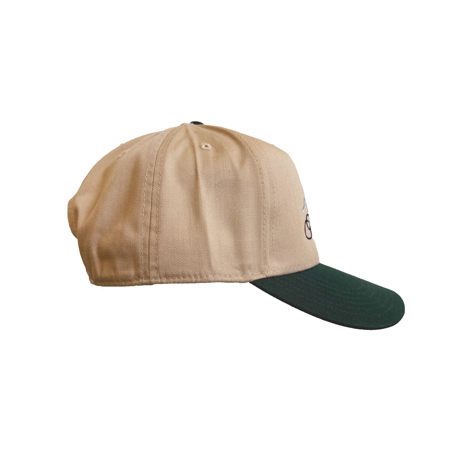 Tengri Tagh 5 Panel Snapback