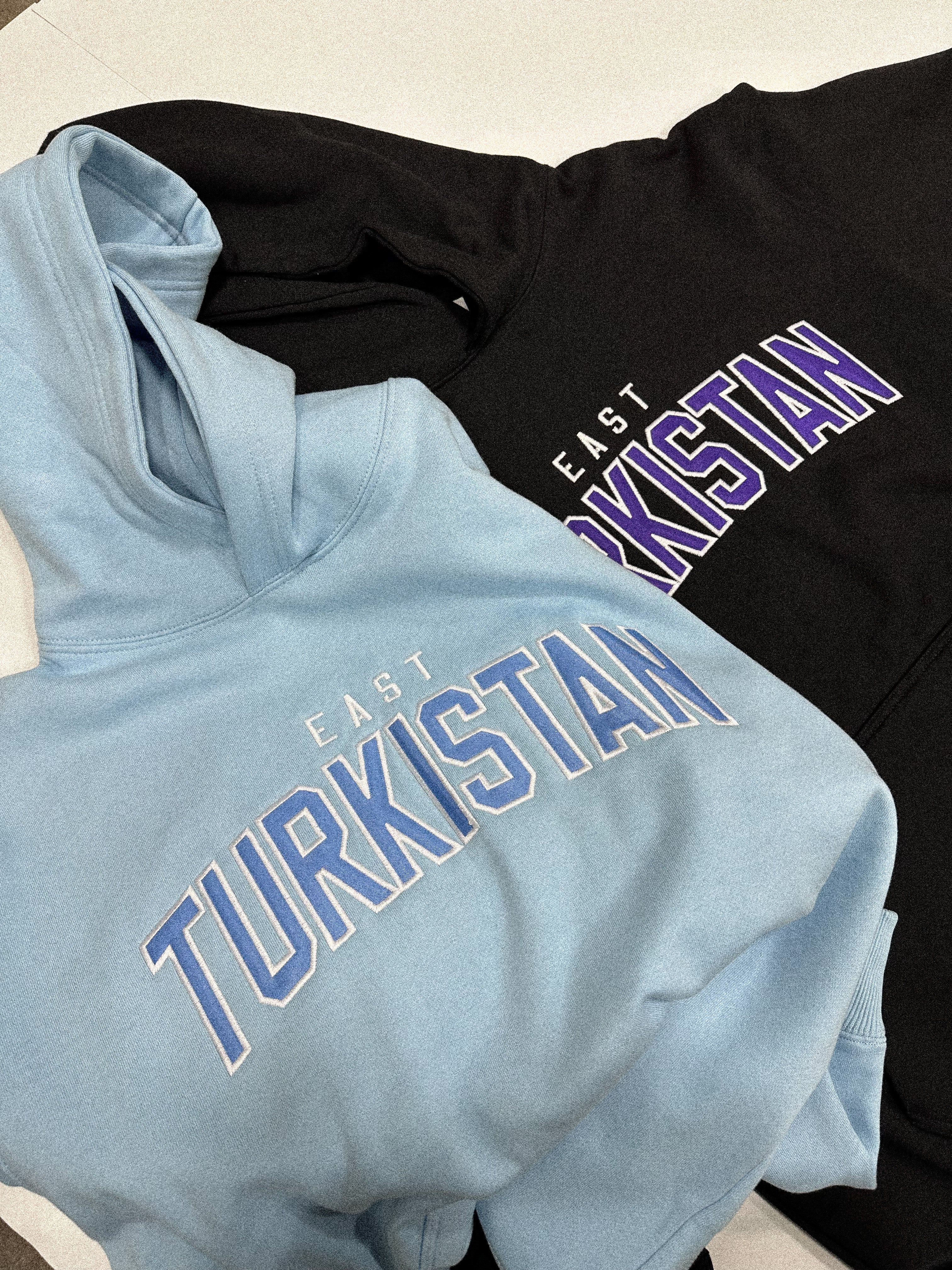 East Turkistan Sky Blue